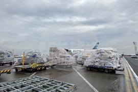 Румъния - Газа - хуманитарна помощ