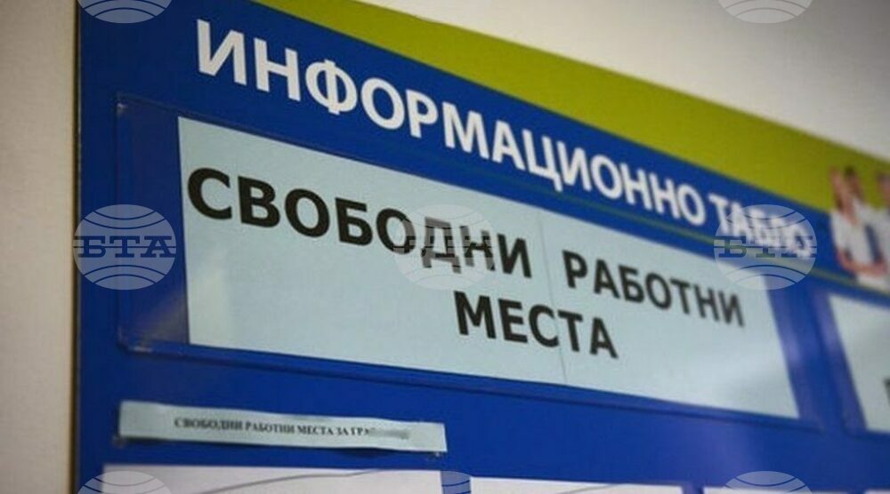 През юли във Варненско най-много работни места са обявени в сферата на образованието