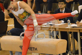 Варна - спортна гимнастика - Световна купа