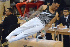 Варна - спортна гимнастика - Световна купа