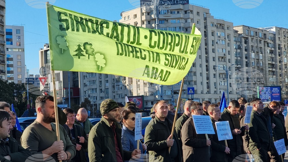 Румъния - протест - условия за пенсиониране