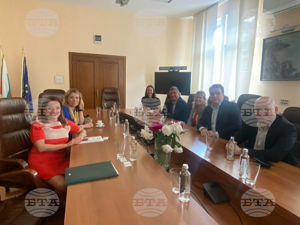 Deputy PM Vassilev Confers with Italian Ambassador