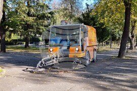 Видин - есенни листа - машинно почистване