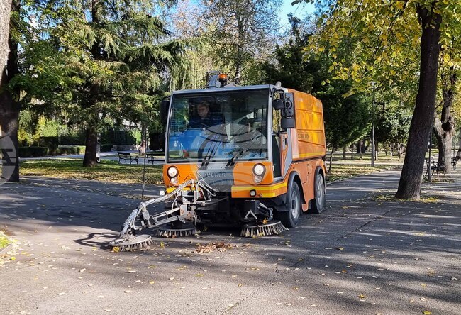 Видин - есенни листа - машинно почистване 