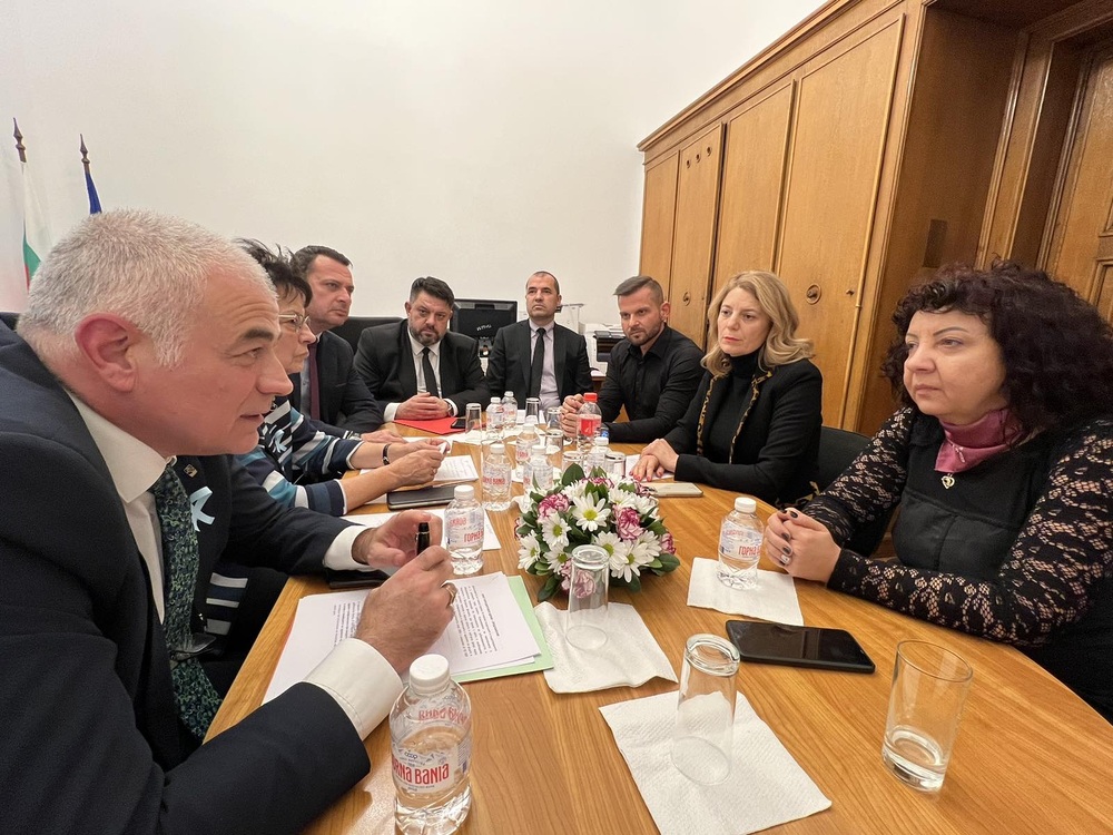 БСП готова да внесе предложенията на Станишев за демографията