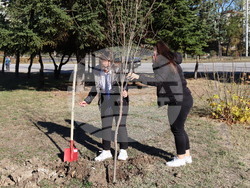 Снимка: Община Хасково