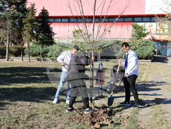 Снимка: Община Хасково