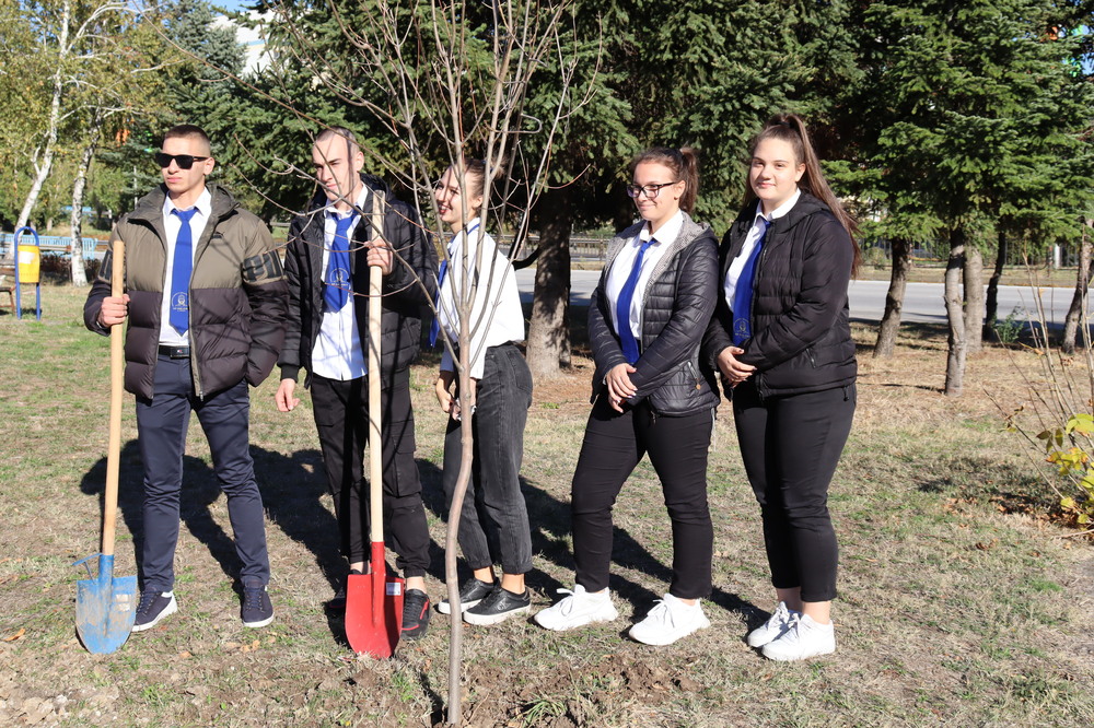 Община Хасково: Ученици от ПГДС „Цар Иван Асен II“ и доброволци от Превантивно информационния център по наркотични вещества към Община Хасково засадиха днес 10 ясена