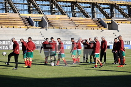 Пловдив - футбол - България - Румъния - демонстративен мач