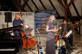 Варна - концерт „Джони Мичъл - Наследство”