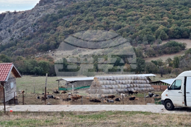 Село Горно поле - „Дивата ферма“ - посещение