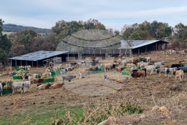 Село Горно поле - „Дивата ферма“ - посещение