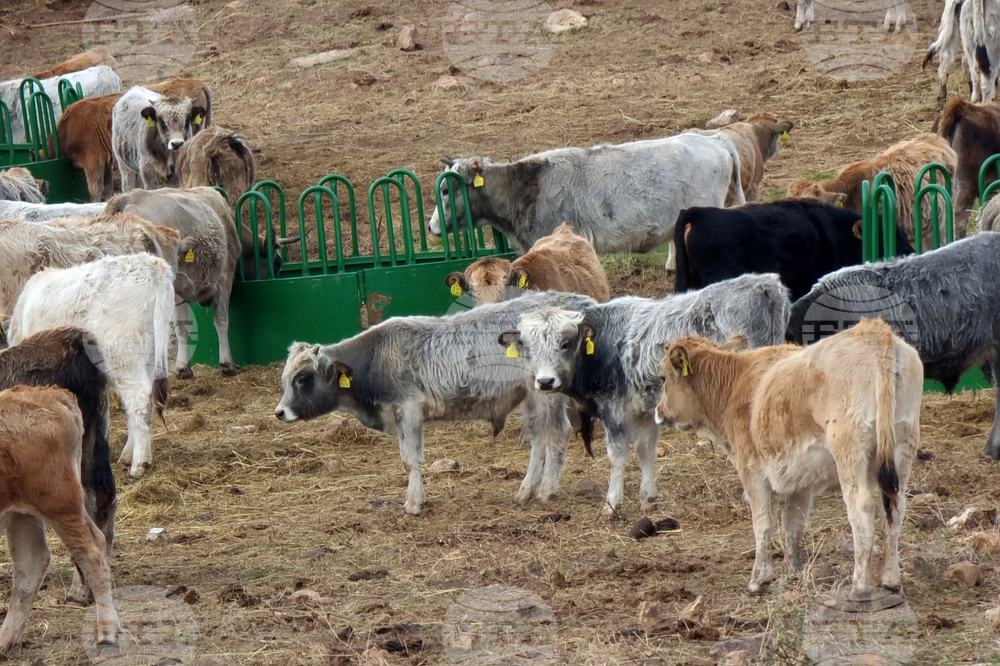 Село Горно поле - „Дивата ферма“ - посещение