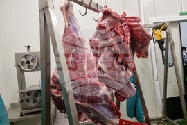 Село Горно поле - „Дивата ферма“ - посещение