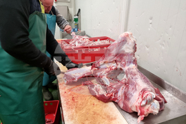 Село Горно поле - „Дивата ферма“ - посещение