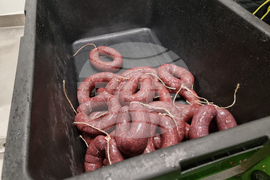 Село Горно поле - „Дивата ферма“ - посещение