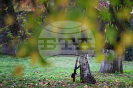 Благоевград - военно поделение - ден на отворени врати