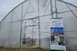 Село Лик - ферма „Версол“