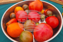 Село Лик - ферма „Версол“