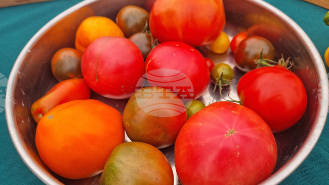 В петричкото село Рупите се проведе информационна среща, свързана с принципите и правилата на биологичното производство