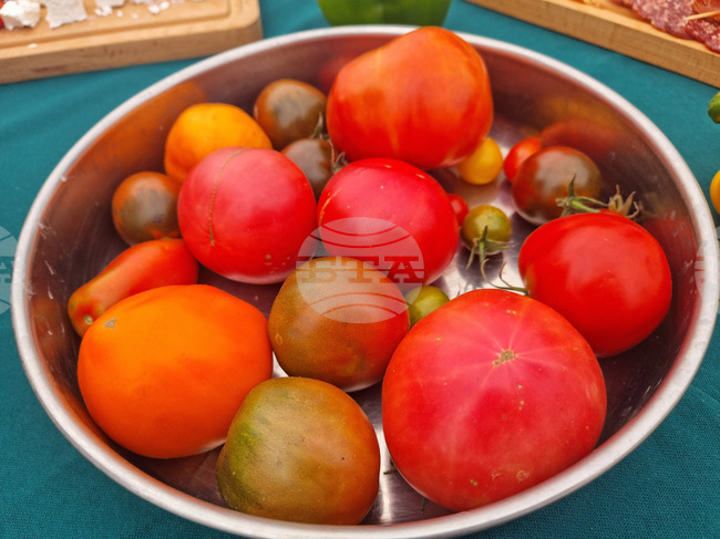 В петричкото село Рупите се проведе информационна среща, свързана с принципите и правилата на биологичното производство