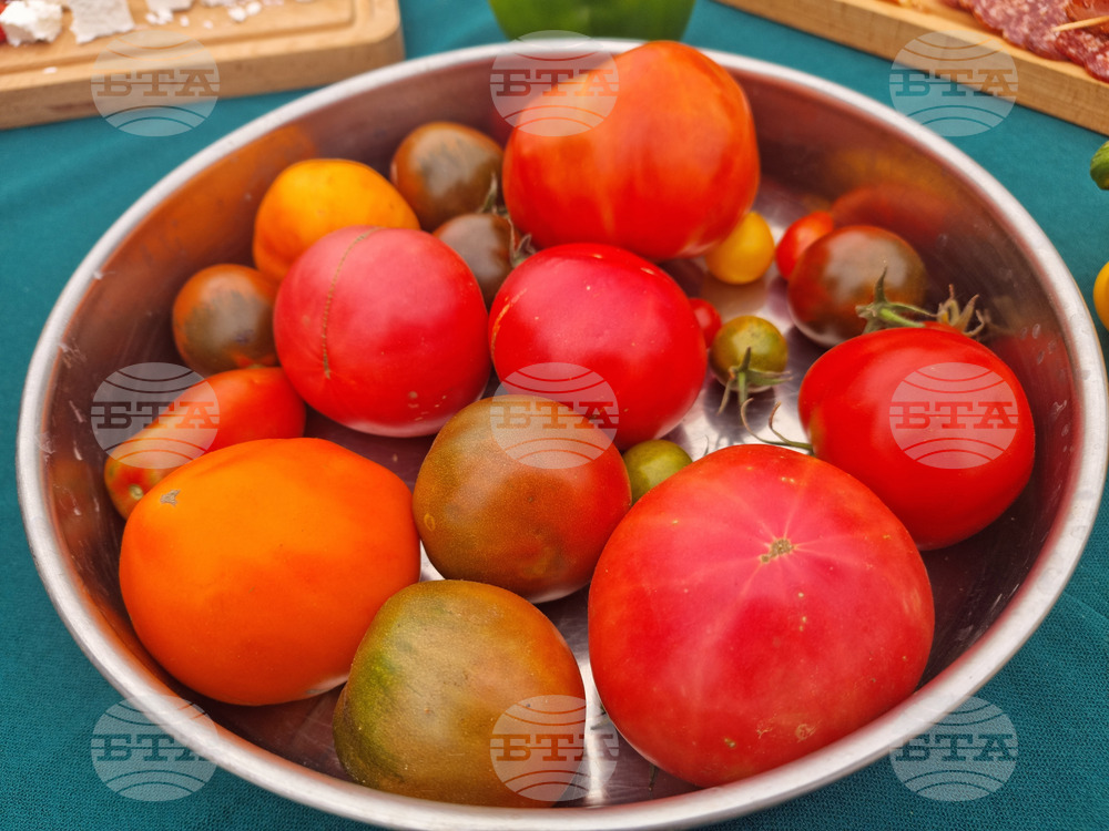 Село Лик - ферма „Версол“