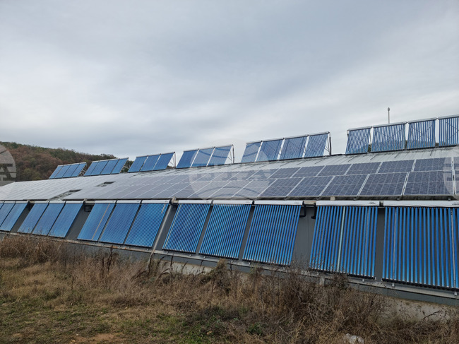 Министерството на земеделието и храните предлага удължаване на срока за изпълнение на проектите по НПВУ до 31 декември