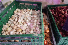 Село Лик - ферма „Версол“