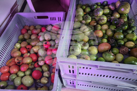 Село Лик - ферма „Версол“