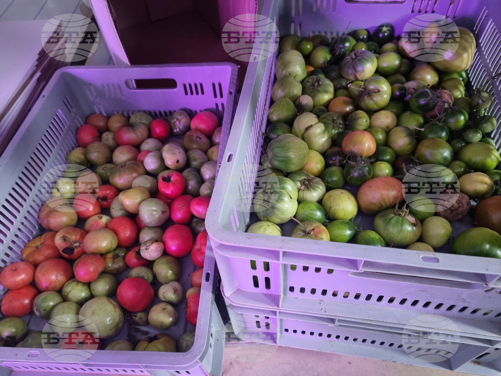 Село Лик - ферма „Версол“