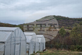 Село Лик - ферма „Версол“