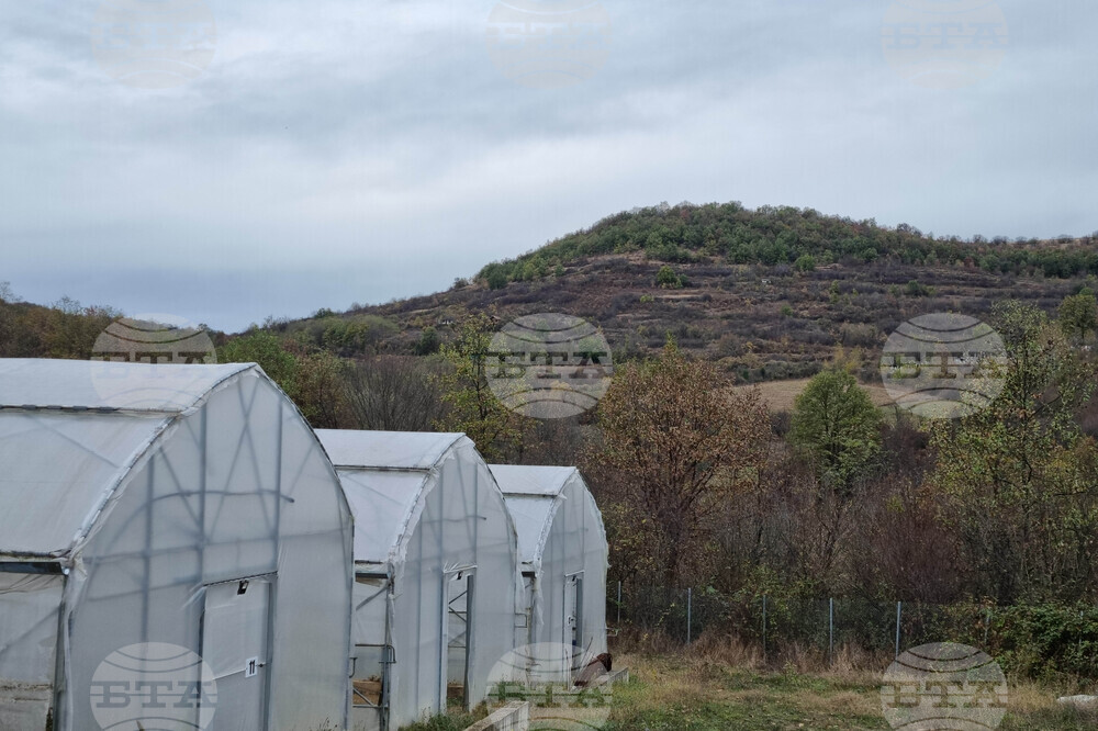 Село Лик - ферма „Версол“