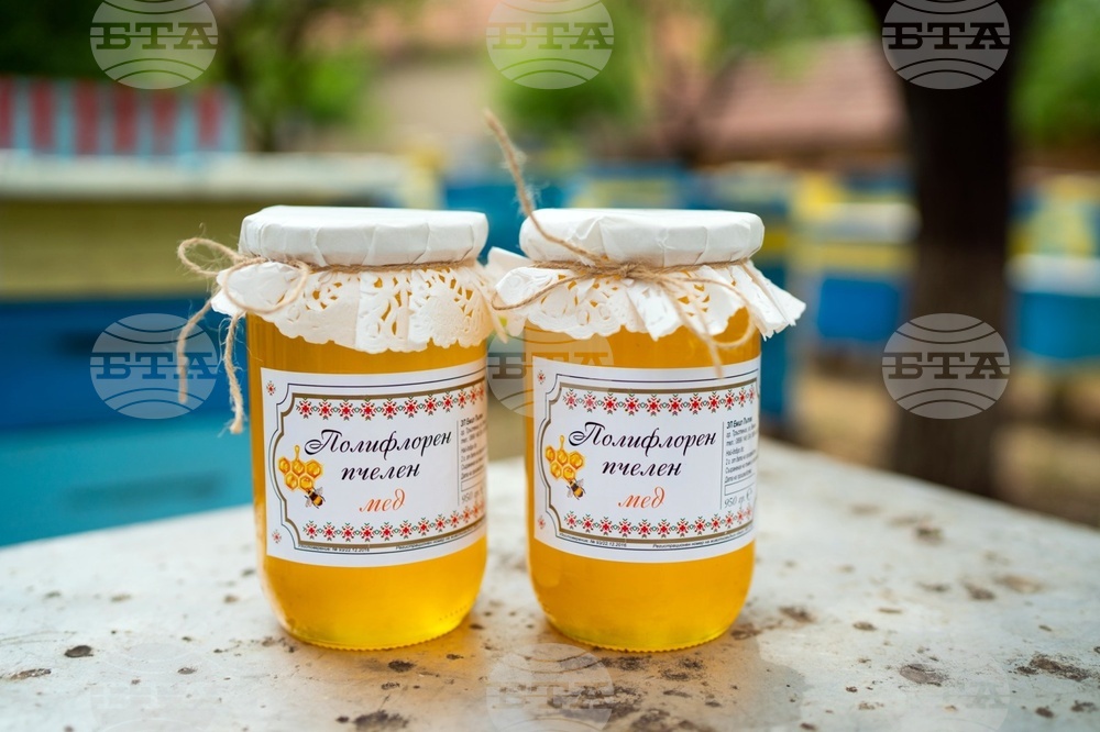 All Bee Products Are Good for Health, Says Beekeeper Emil Patov