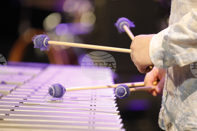 Музикотерапевти в Бургас, Варна, Пловдив и София извършват безплатни консултации по повод Европейския ден на музикотерапията