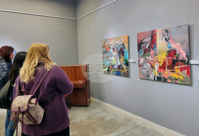 Разград - картини с разнообразна техника - изложба