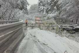 Румъния - първи сняг