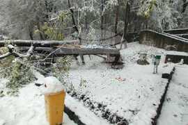 Румъния - първи сняг