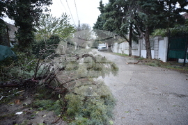 Варна - вятър - щети