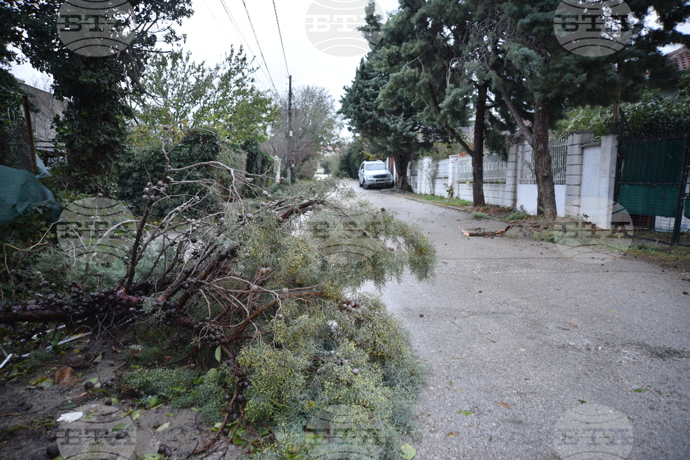 Варна - вятър - щети