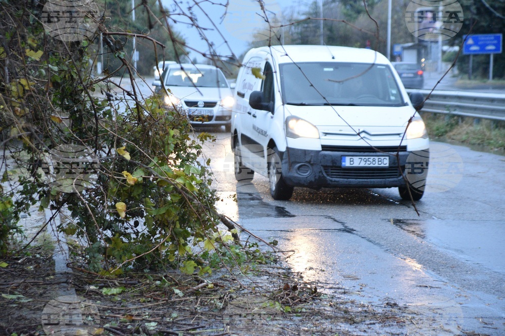 Варна - вятър - щети