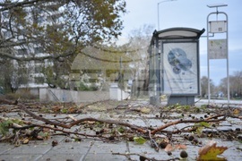 Варна - вятър - щети