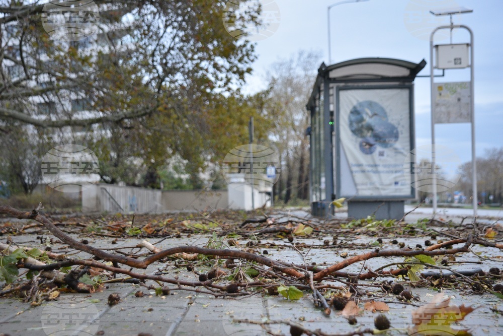 Варна - вятър - щети