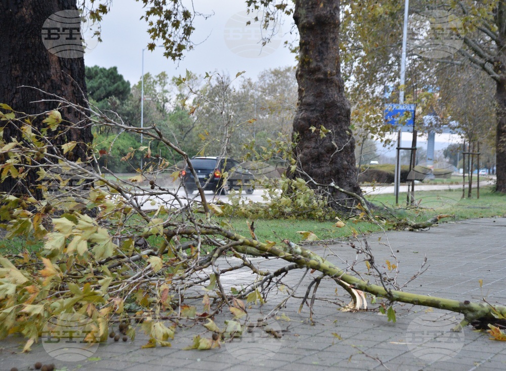 Варна - вятър - щети