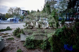 Варна - вятър - щети