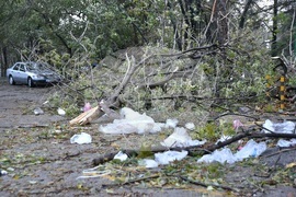 Варна - вятър - щети