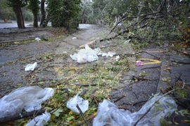 Варна - вятър - щети