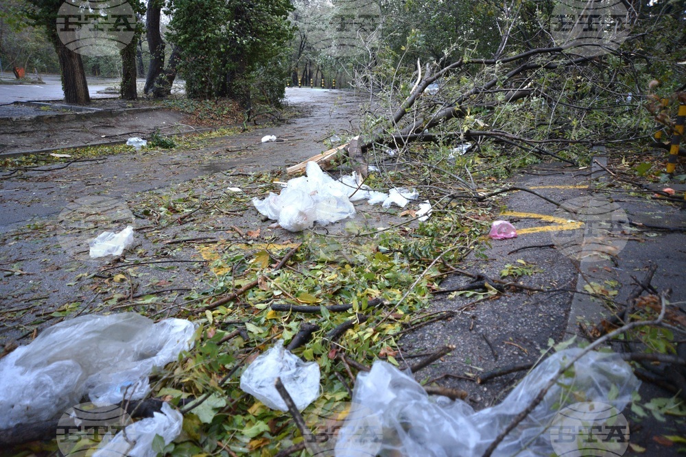 Варна - вятър - щети