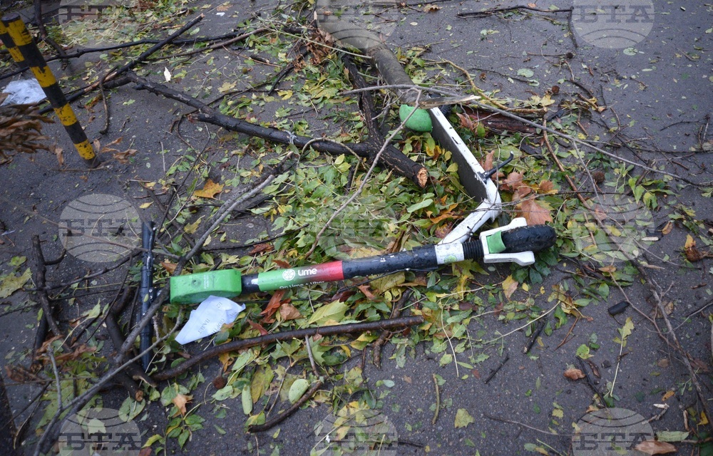 Варна - вятър - щети