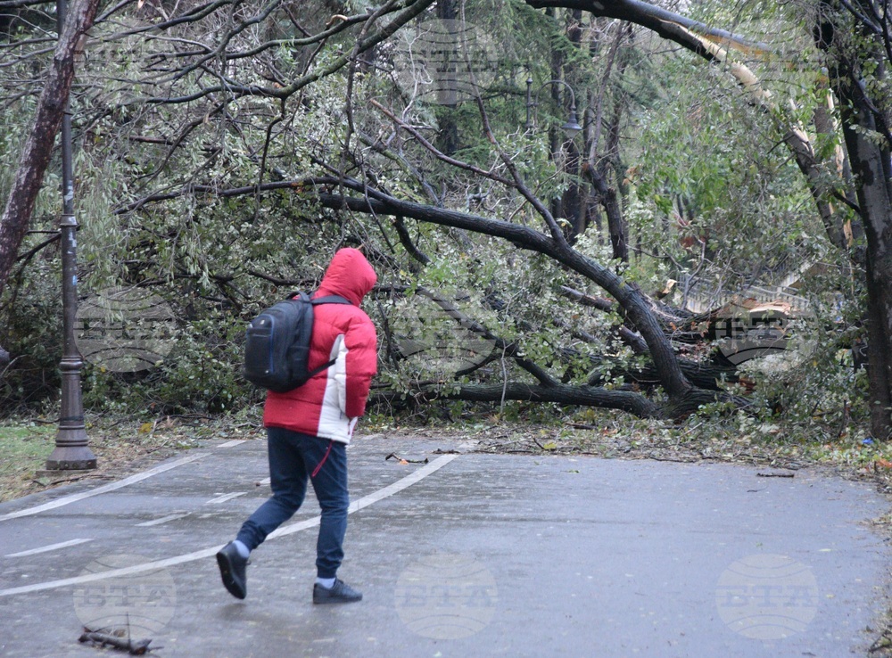 BTA State of Disaster Declared in Varna for Extreme Weather, One
