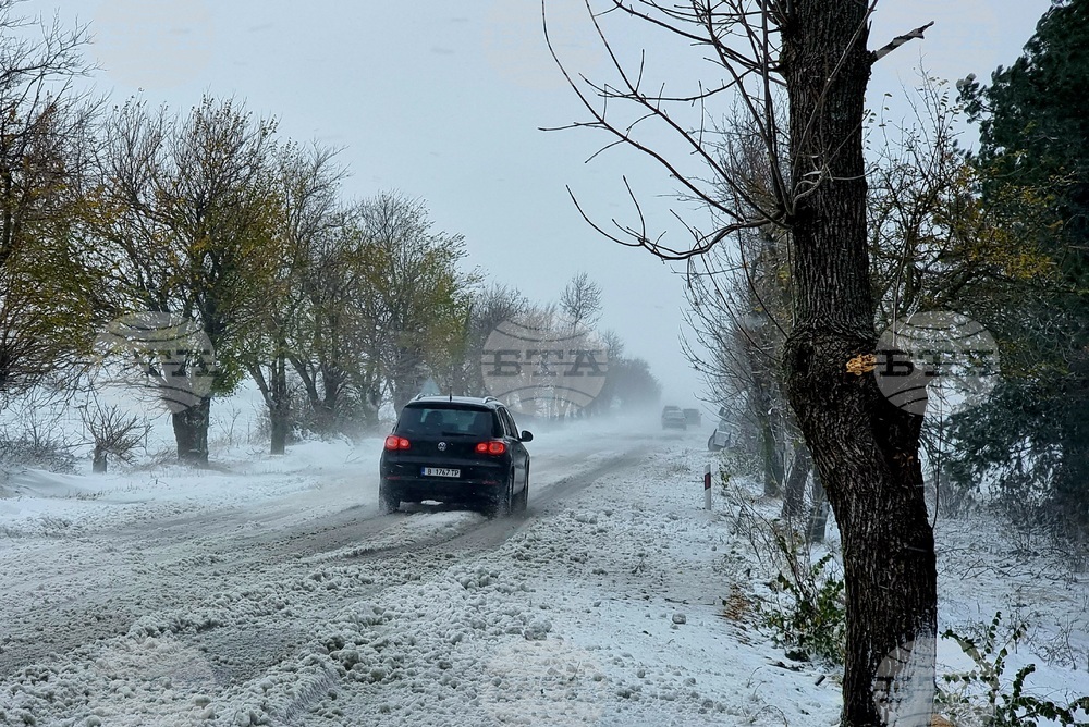 Варна - Добрич - сняг - бедствено положение